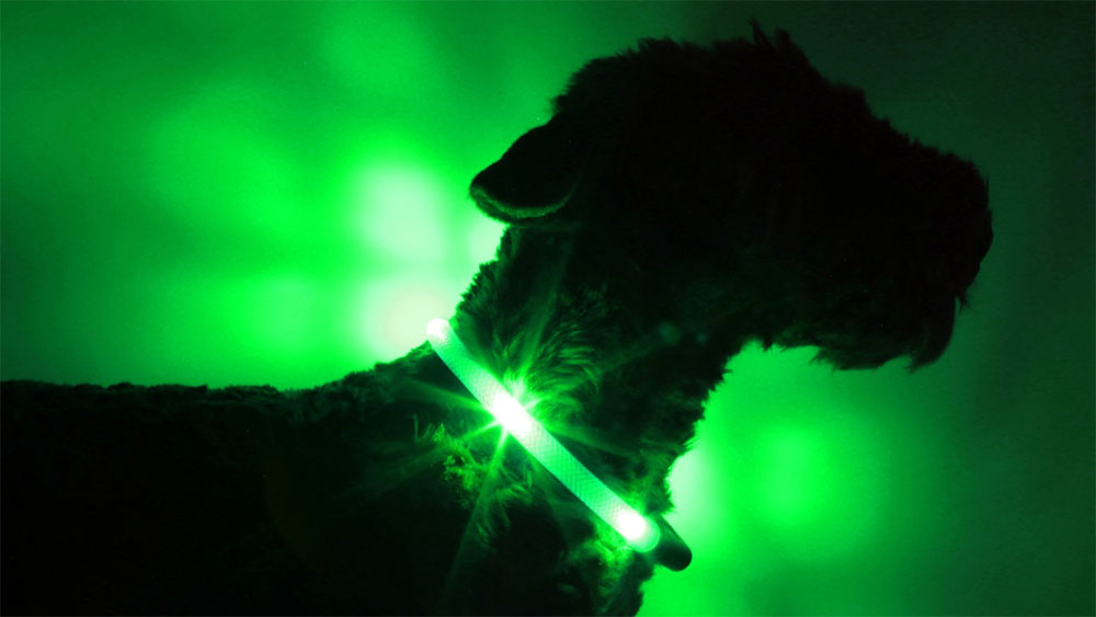 Leuchthalsband LEUCHTIE in der extrem hellen Variante grün im transparenten Schlauch
